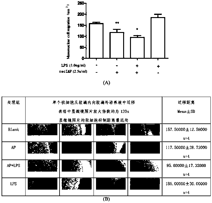 Novel application of intestinal alkaline phosphatase and product activity quality control method of preparation of intestinal alkaline phosphatase