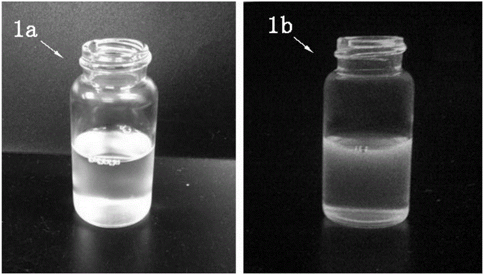 Preparation method of water dispersion liquid of fluorescent polymer microsphere