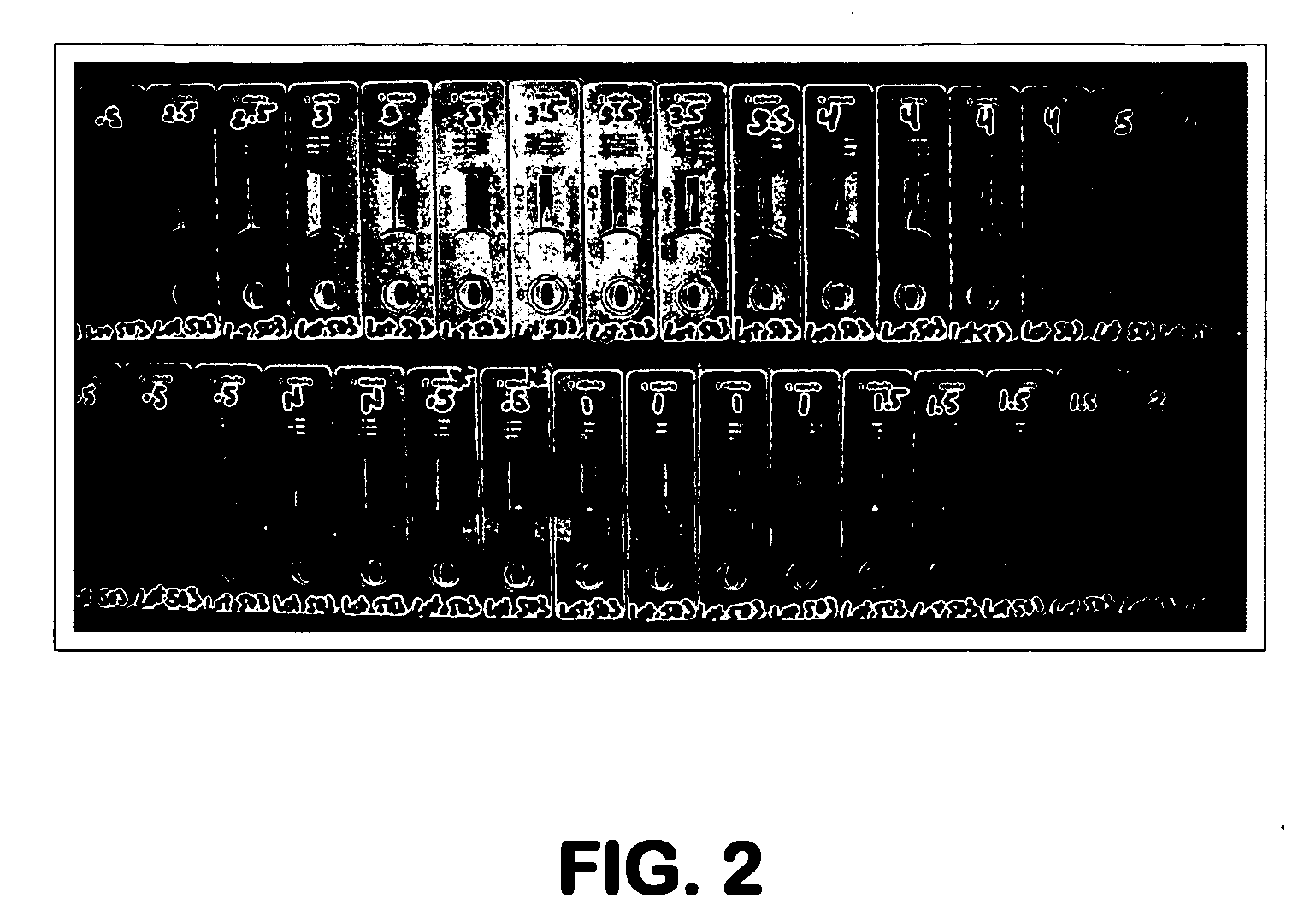 Fluorescence-based lateral flow device with improved sensitivity