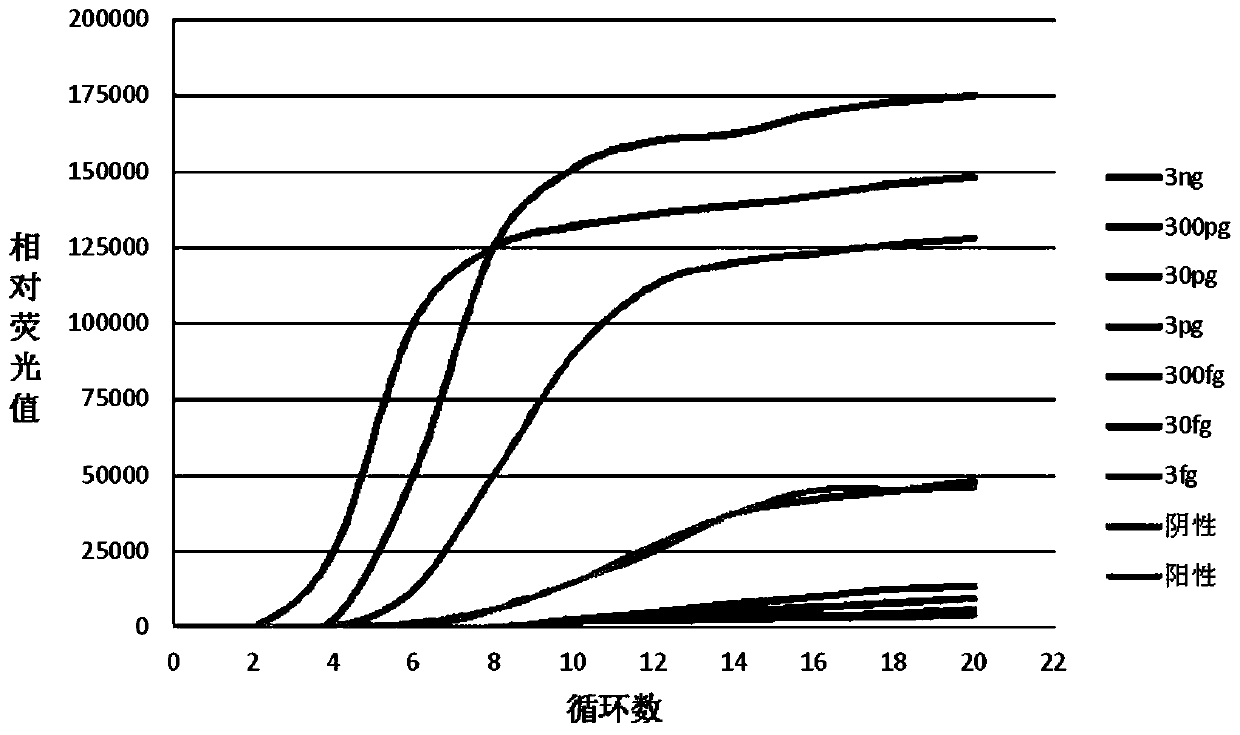 Fast detection method of ureaplasma urealyticum based on RPA