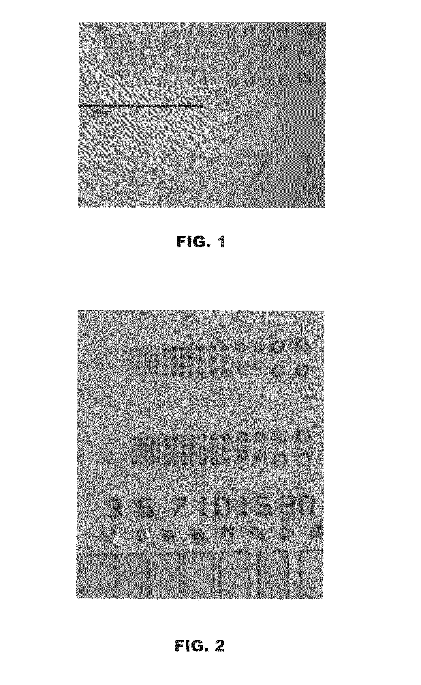 Diazirine compounds and compositions derived therefrom