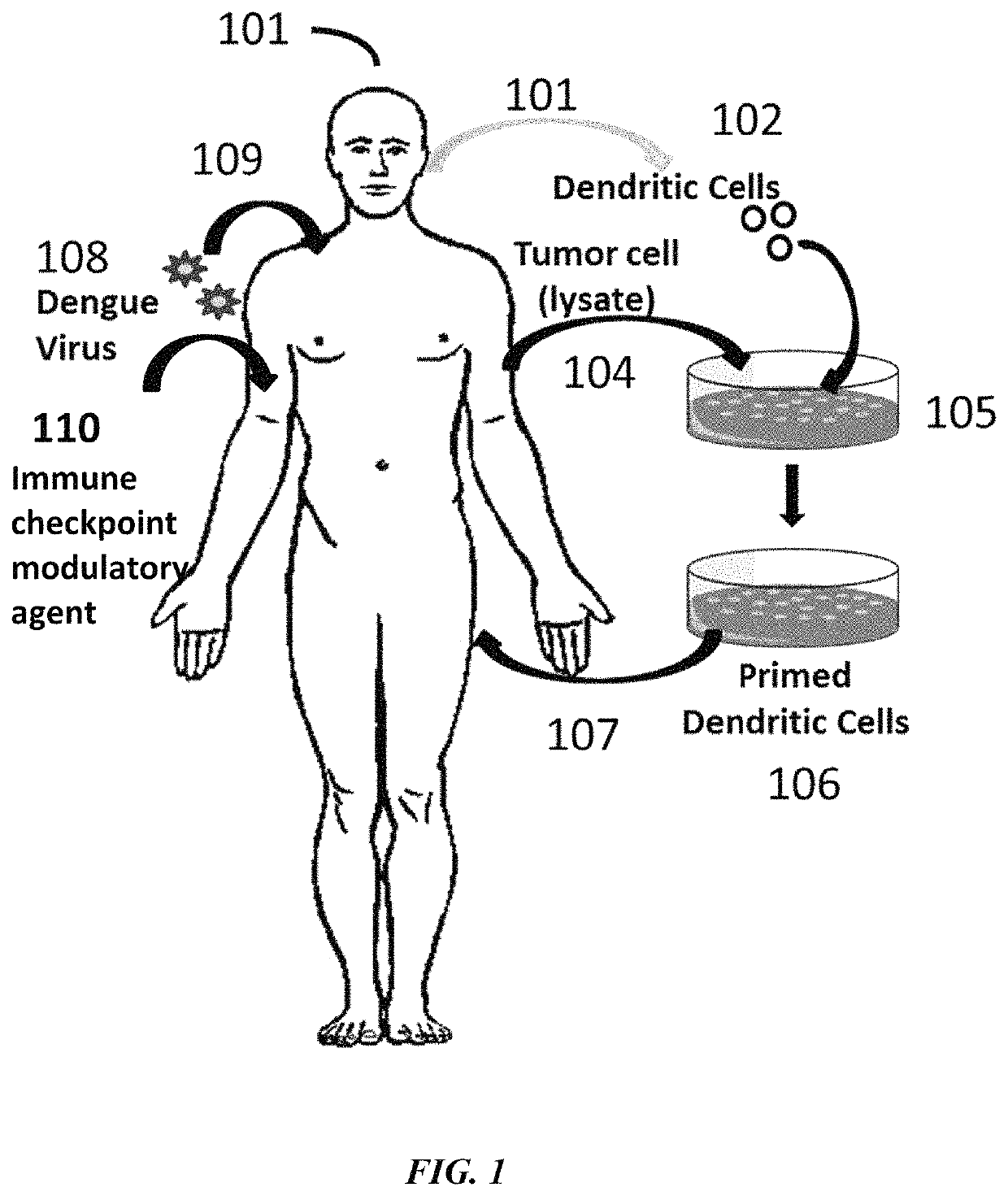 Combination immunotherapies for treatment of cancer