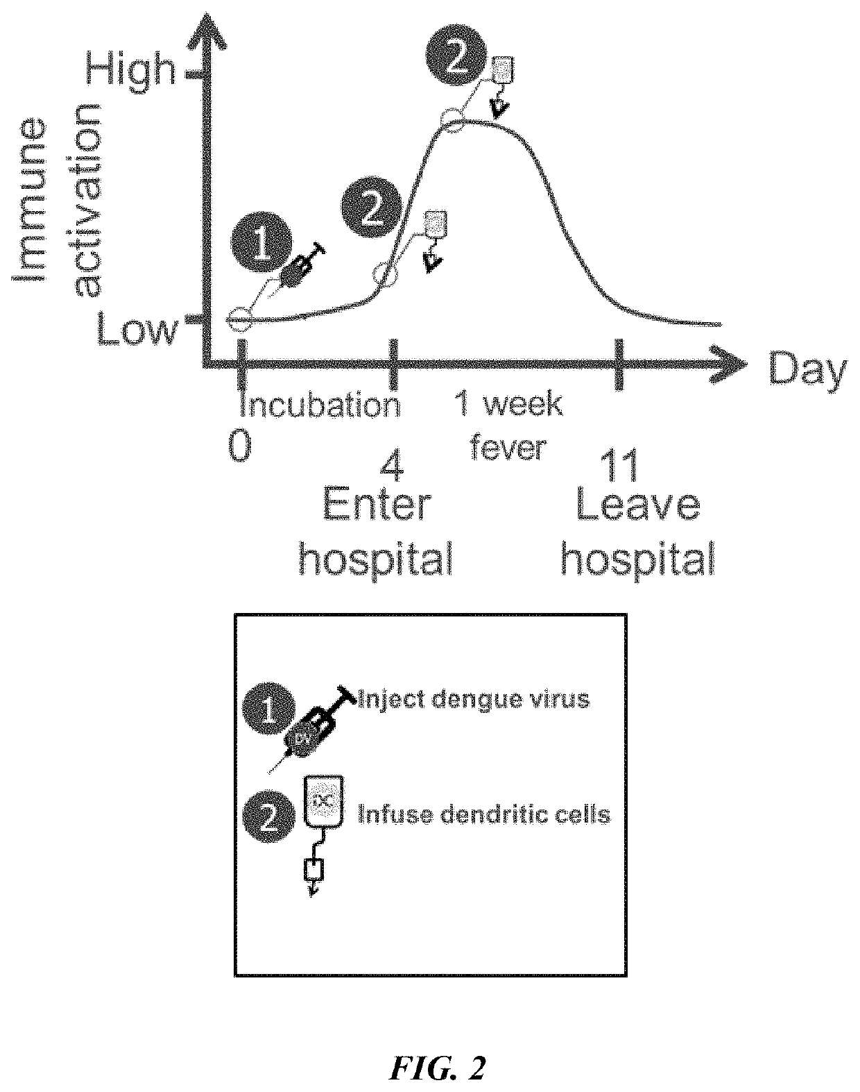 Combination immunotherapies for treatment of cancer