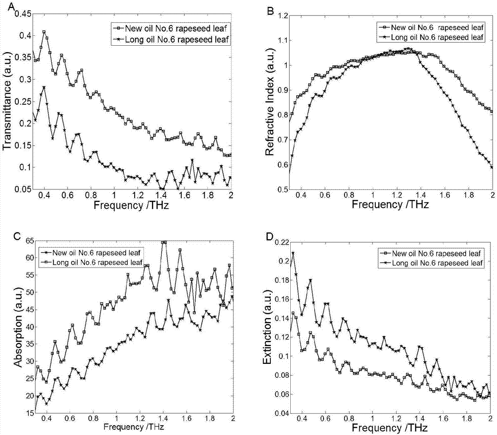 Rape species identification method based on terahertz spectroscopy