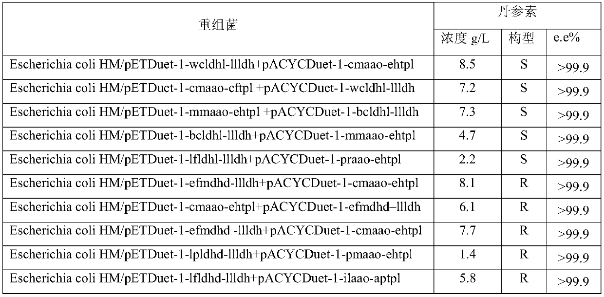 An engineering bacterium and its application to produce danshensu with cheap substrate