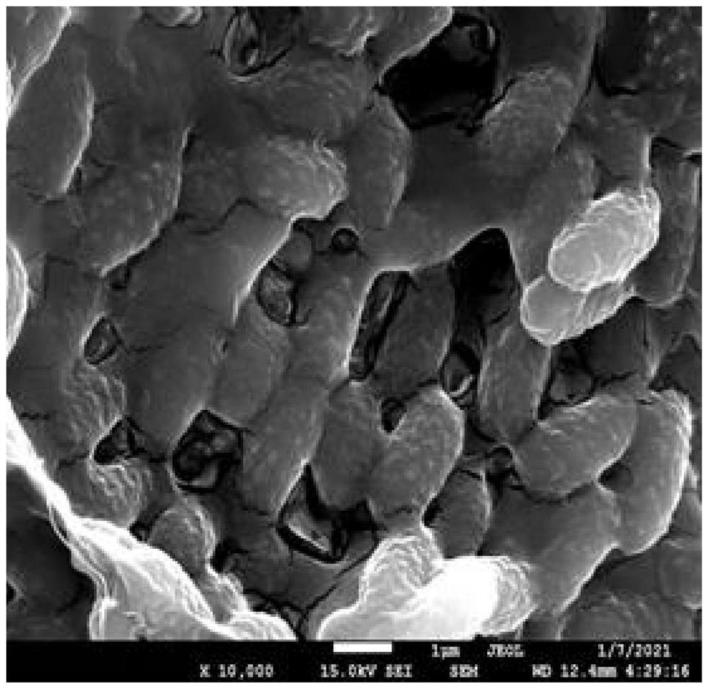 Repairing method for remediation of antimony and zinc combined pollution and application