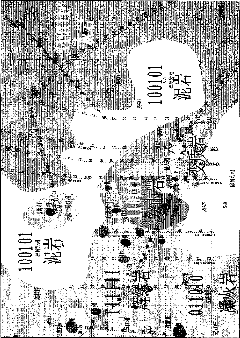 Method for recognizing the lithology of petrosilex by using the combined characteristics of gravity-magnetic-electronic anomaly