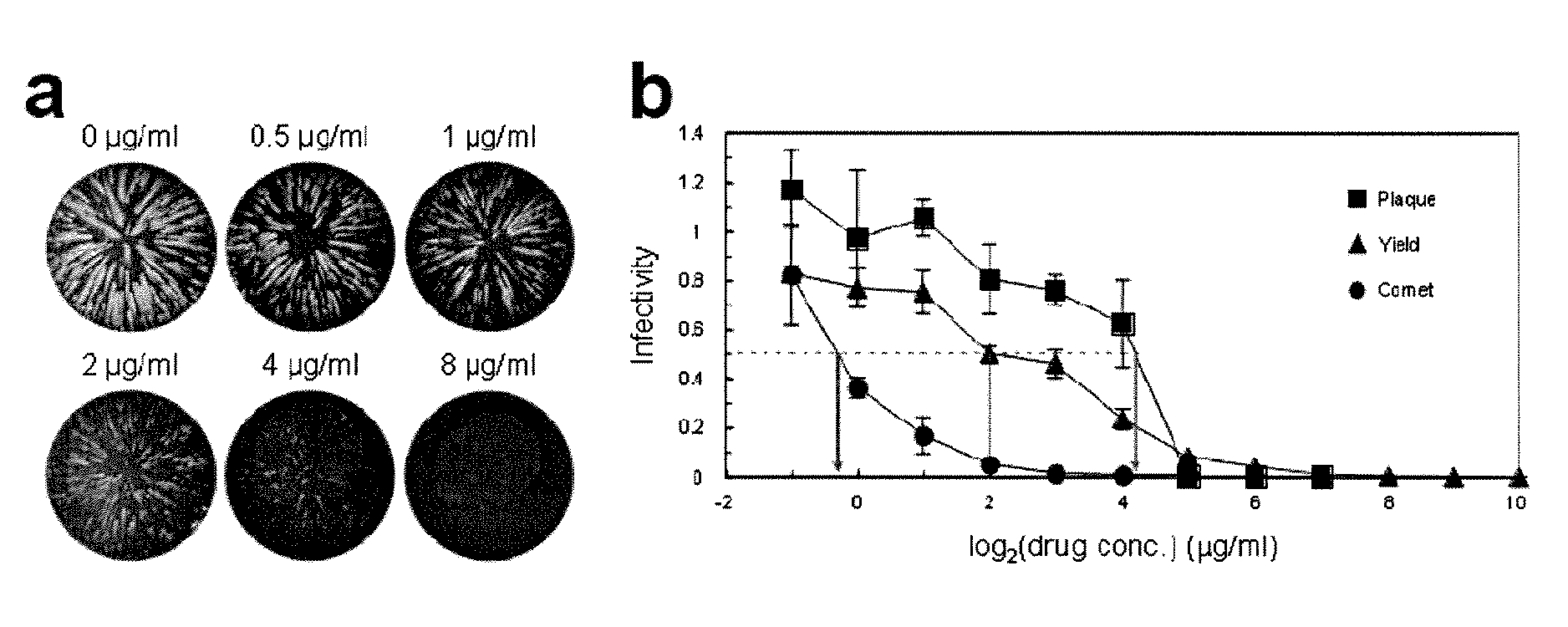 Methods and devices for quantitative viral assays