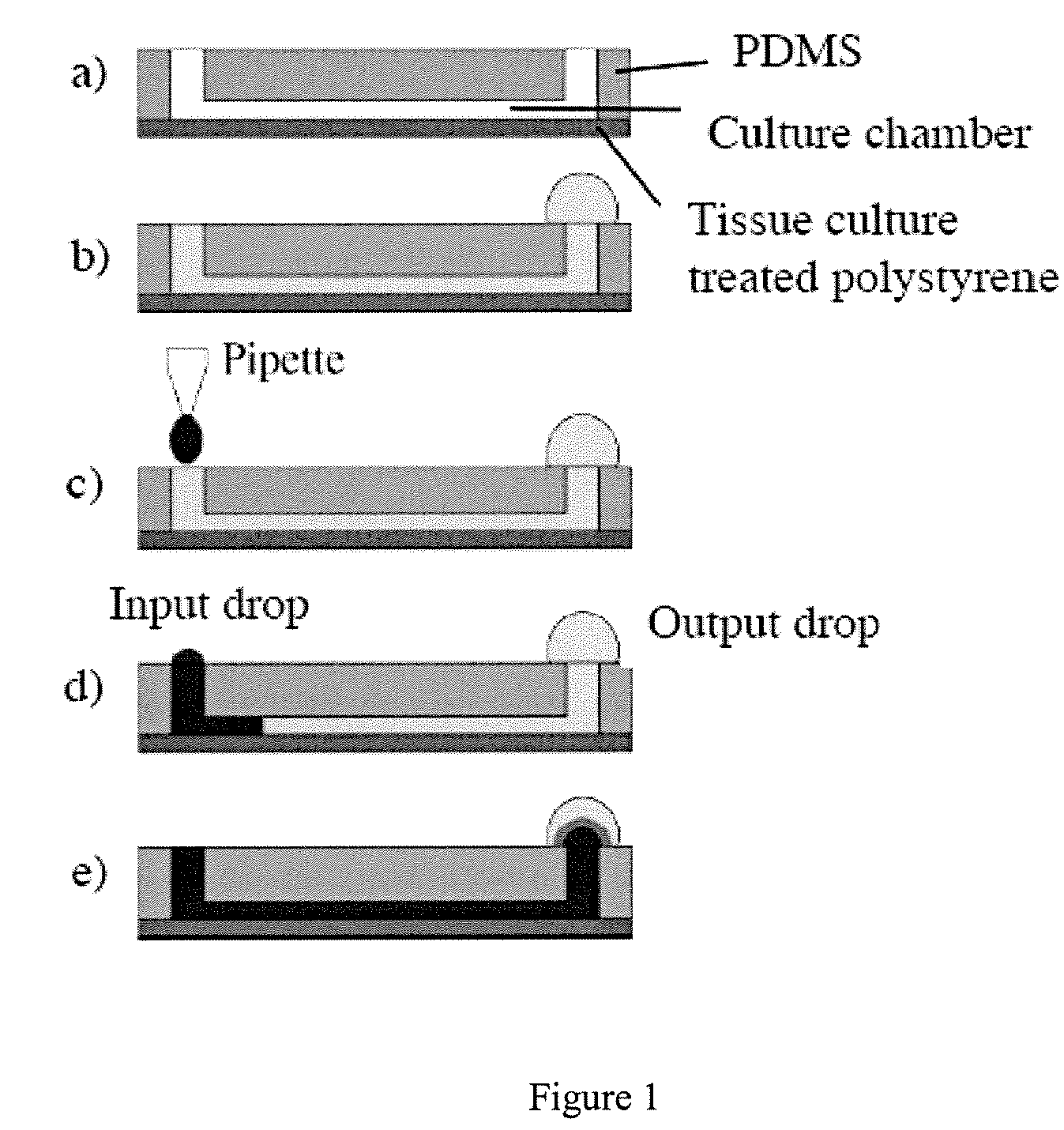 Methods and devices for quantitative viral assays