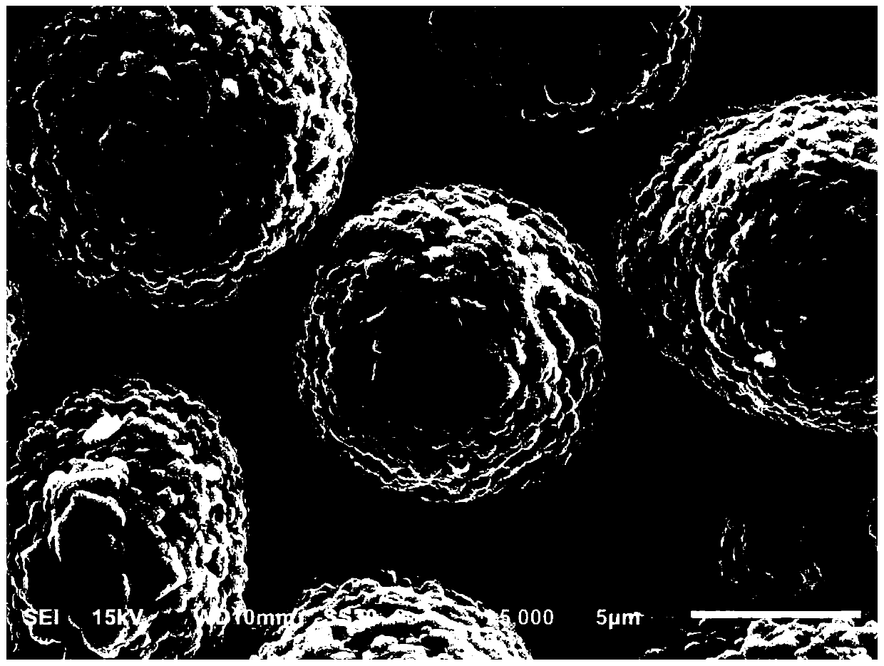 Composite positive electrode material, positive electrode sheet, preparation method of positive electrode sheet, and lithium ion battery