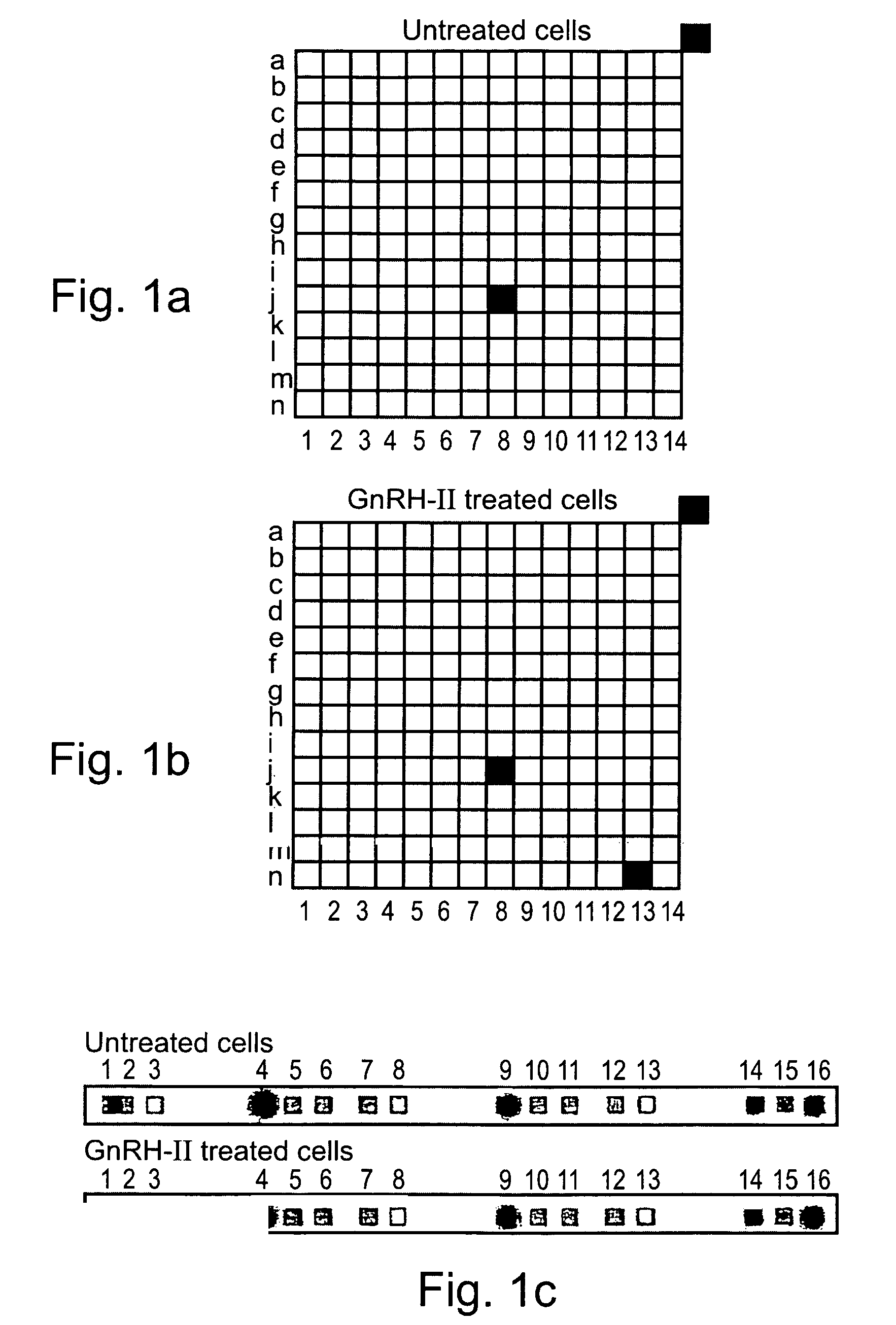 Methods and pharmaceutical compositions for GnRH-I and GnRH-II modulation of T-cell activity, adhesion, migration and extravasation