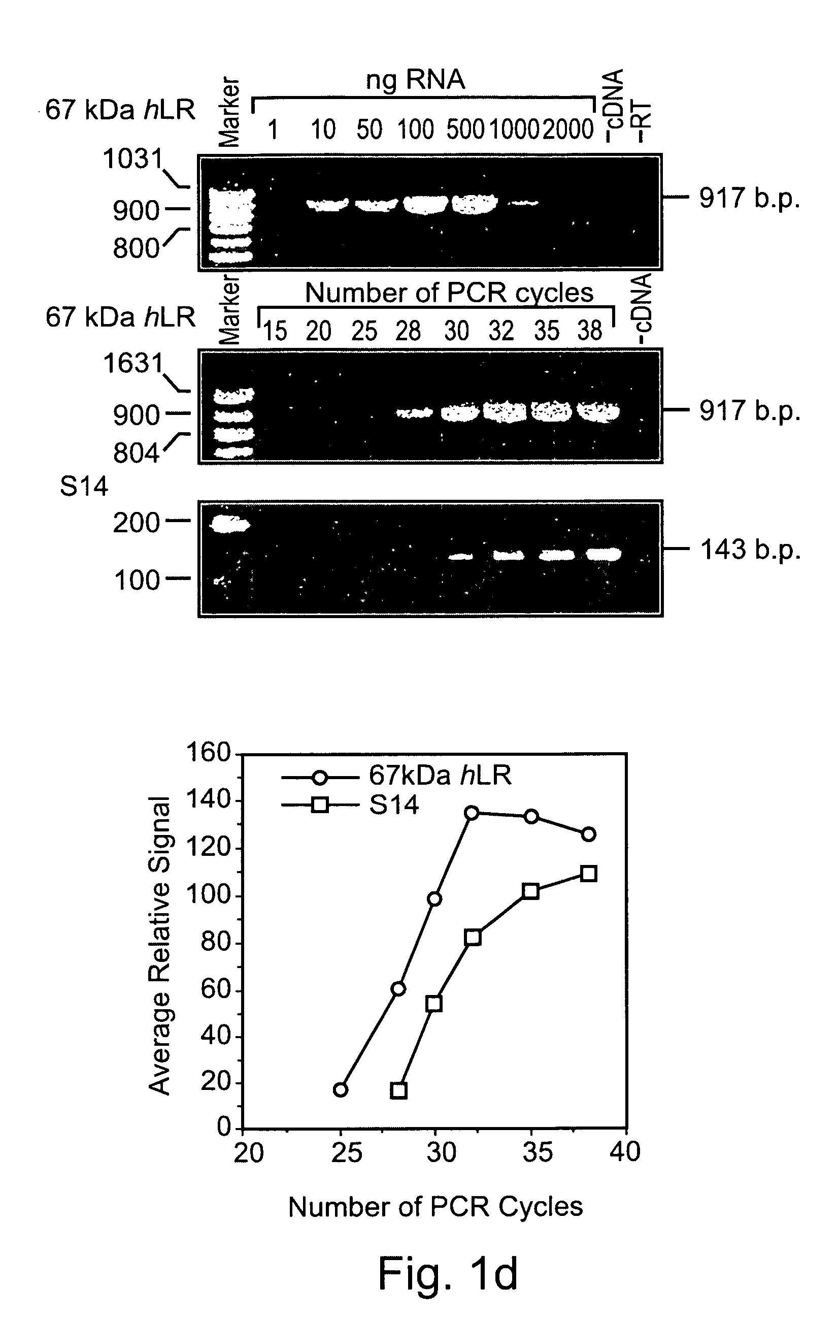 Methods and pharmaceutical compositions for GnRH-I and GnRH-II modulation of T-cell activity, adhesion, migration and extravasation