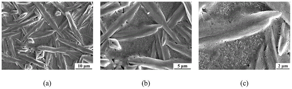 Method for preparing perovskite thin film in perovskite solar cell via solution air extraction and ventilation method