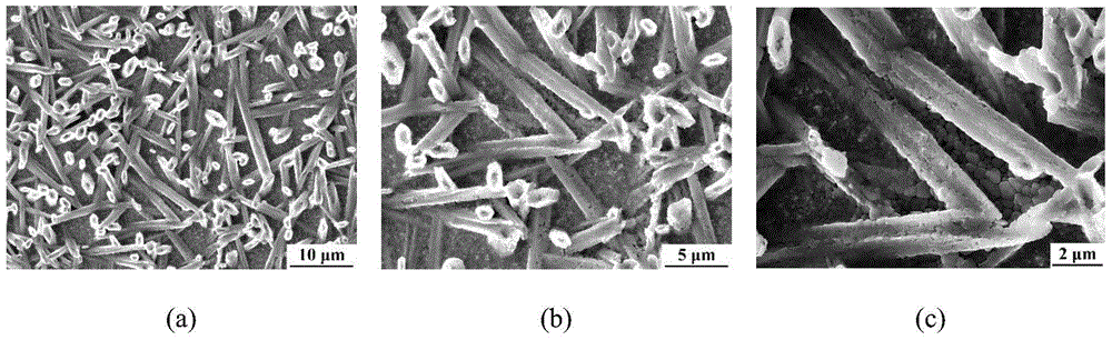 Method for preparing perovskite thin film in perovskite solar cell via solution air extraction and ventilation method