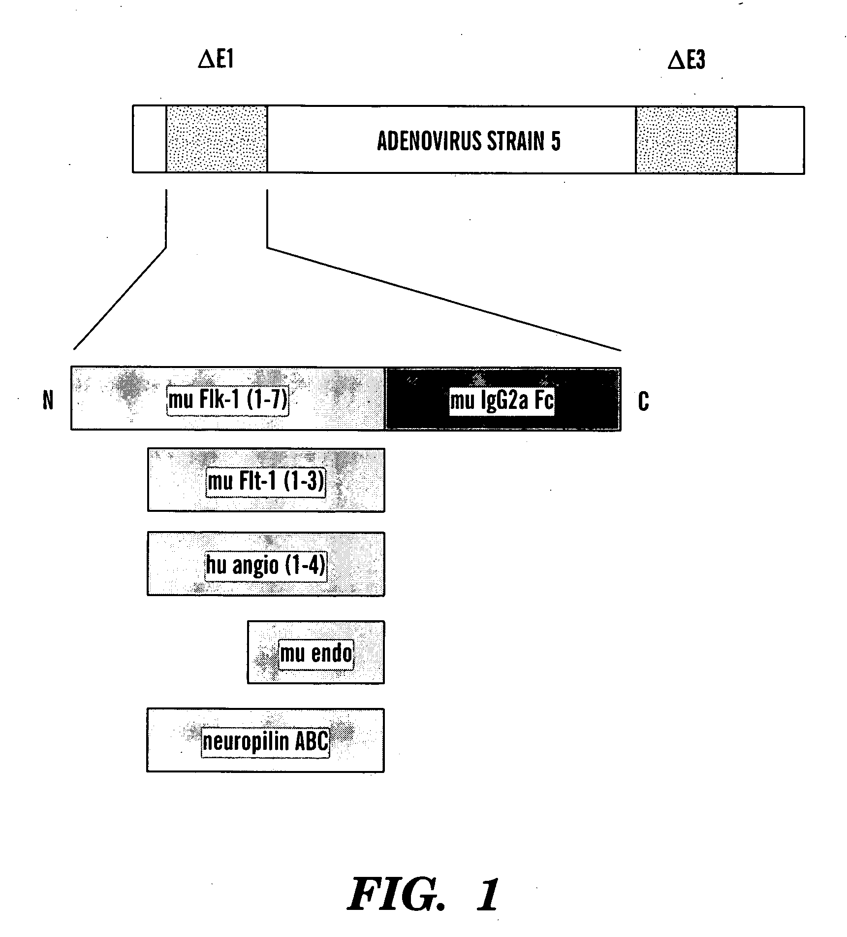 Method for treating cancer and increasing hematocrit levels