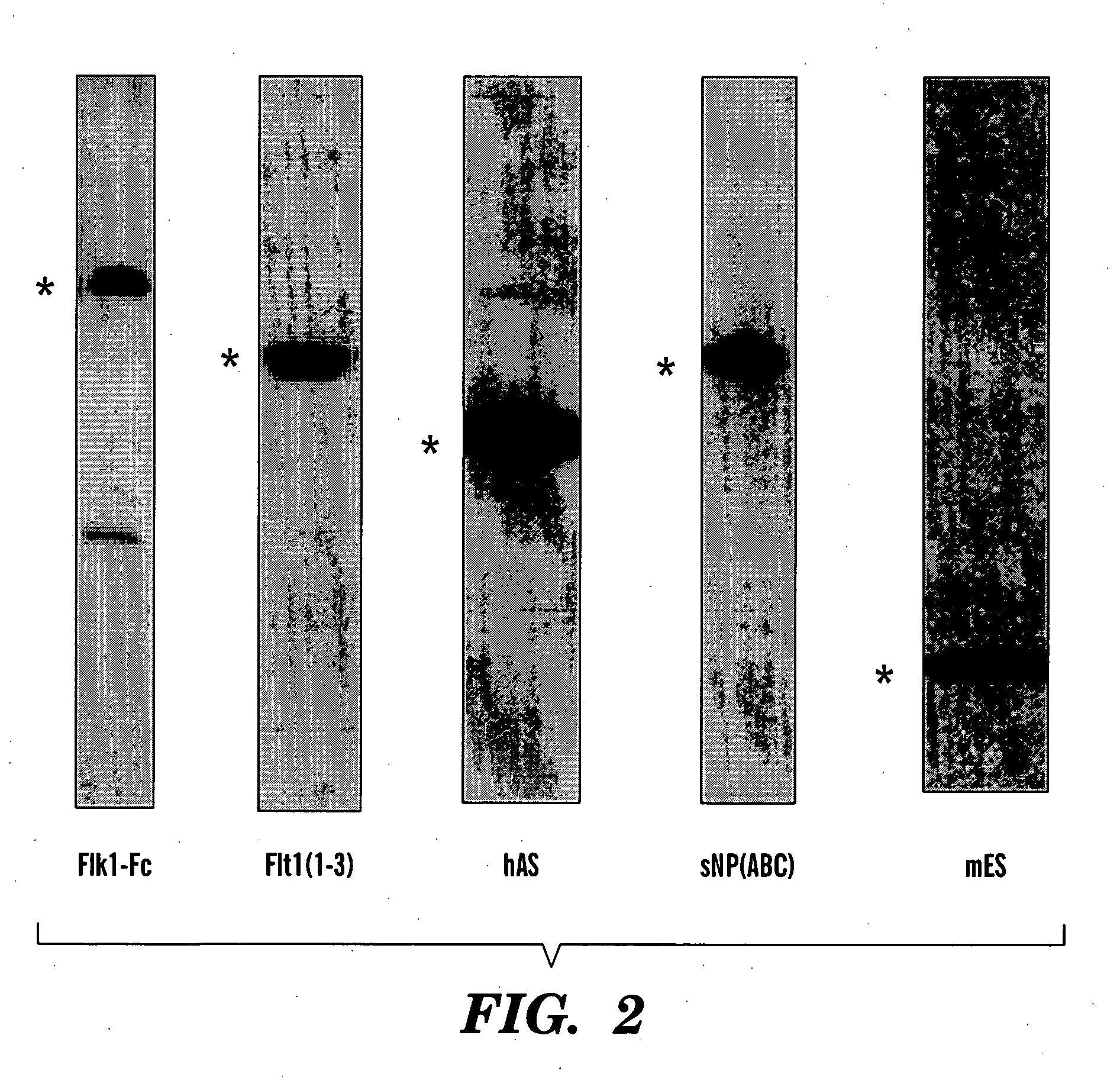 Method for treating cancer and increasing hematocrit levels