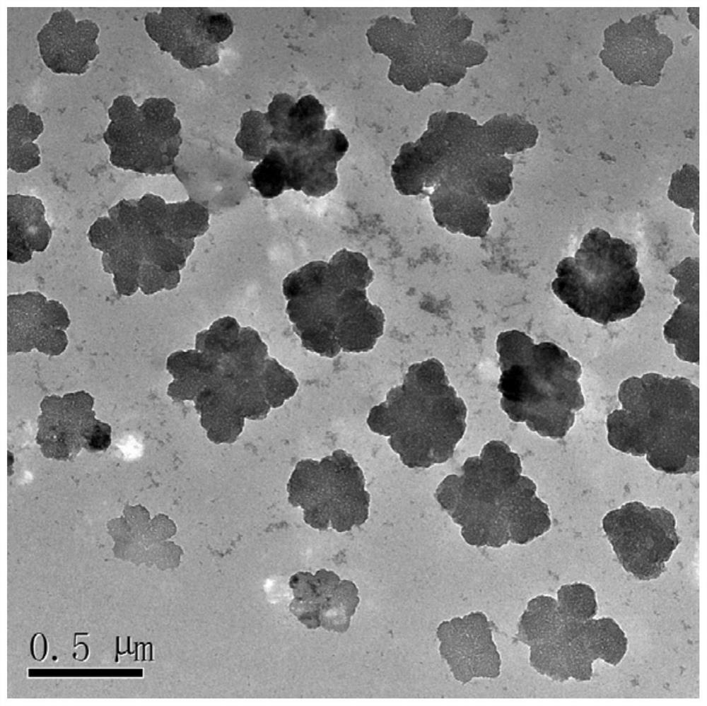 Gadolinium-doped gold nanoparticles, biomimetic synthesis method and application of gadolinium-doped gold nanoparticles in stem cells