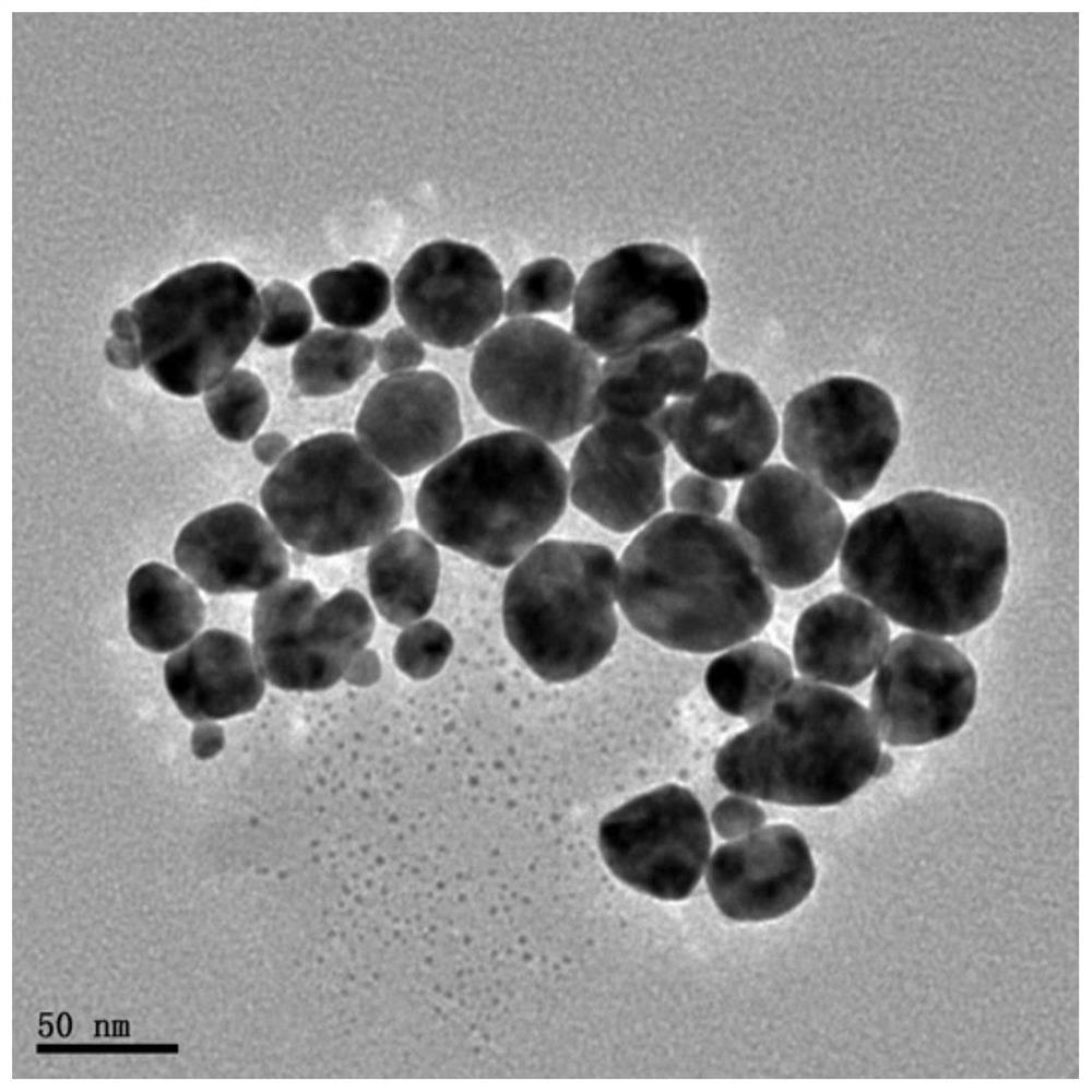Gadolinium-doped gold nanoparticles, biomimetic synthesis method and application of gadolinium-doped gold nanoparticles in stem cells