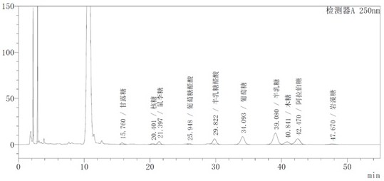 A kind of fairy grass polysaccharide gel ball and its preparation method and application