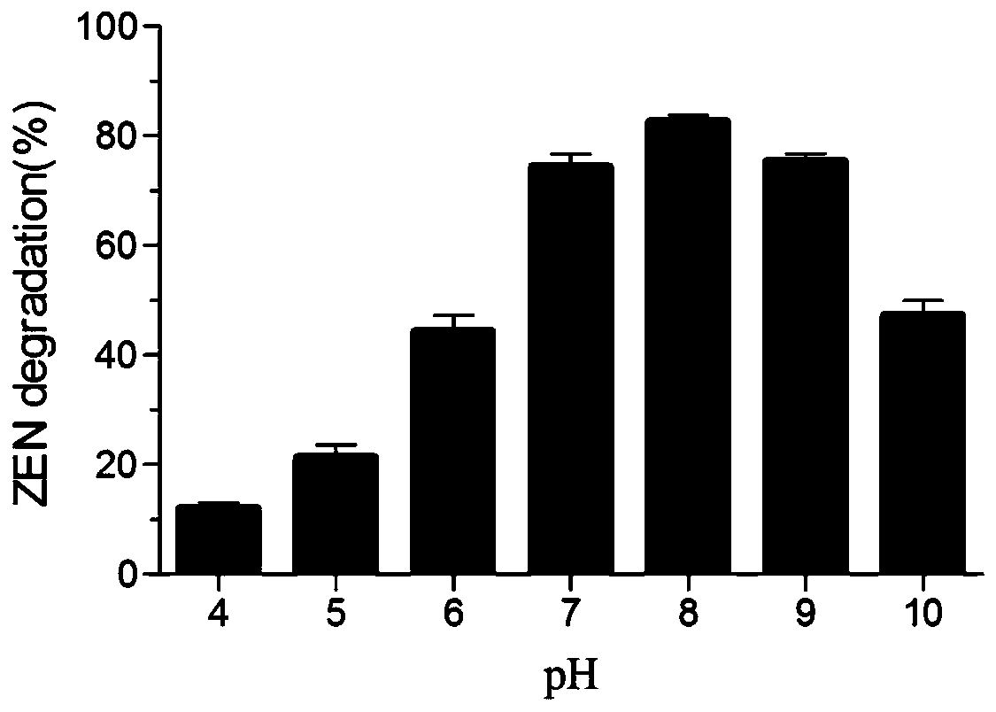 Dye decolorizing peroxidase BsDyP and application of dye decolorizing peroxidase BsDyP in mycotoxin detoxification