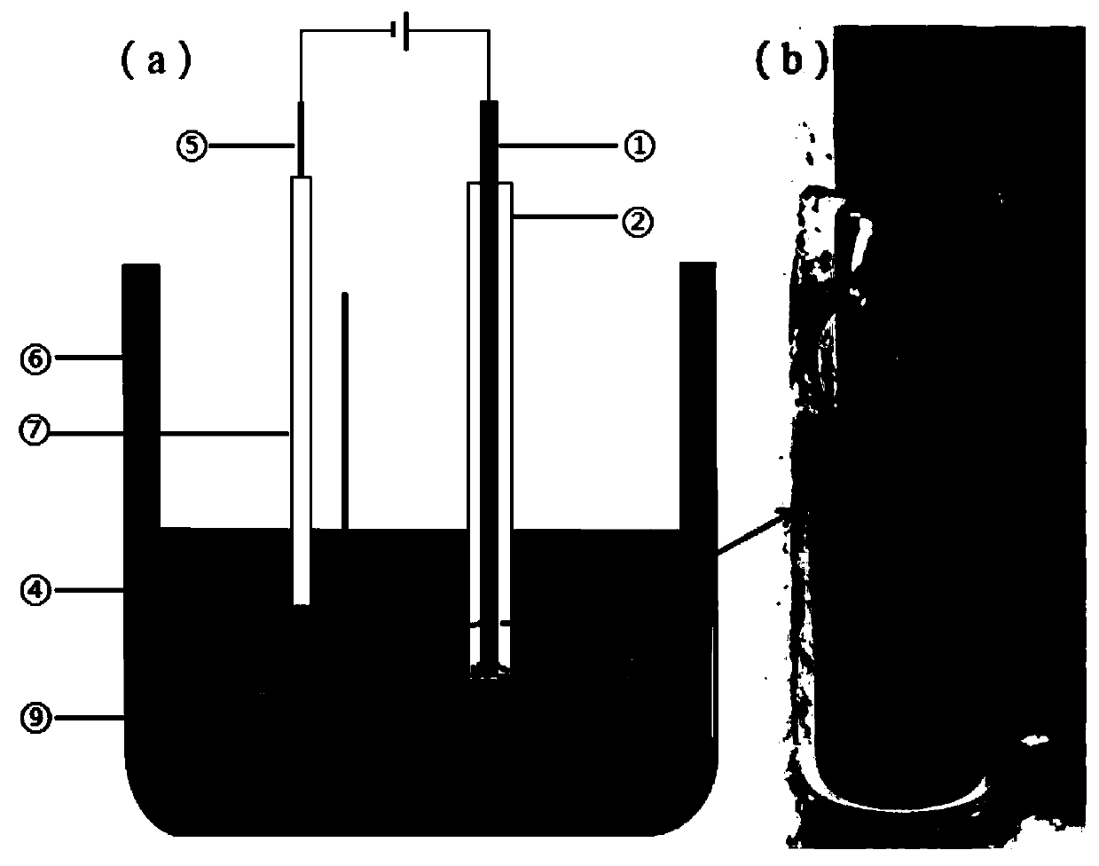 Apparatus and method for directly preparing UO2 by molten salt electrolysis of U3O8