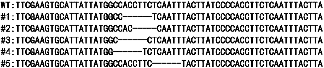 Method for changing feeding habits of bombyx mori and application of method