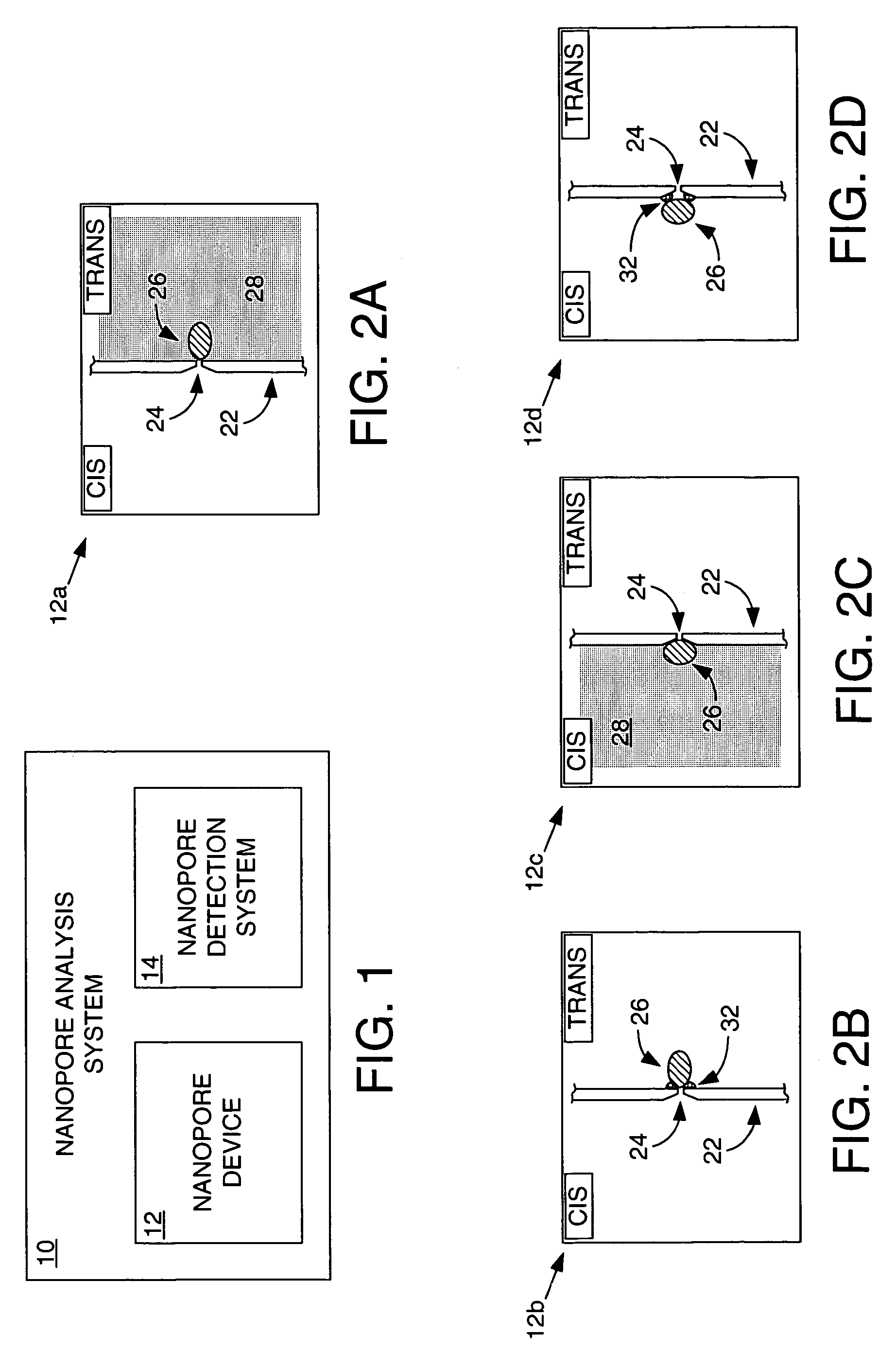Methods and apparatus for characterizing polynucleotides