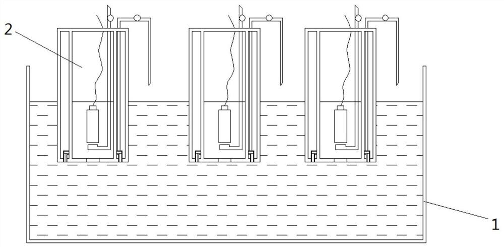 A method for the separation, purification and large-scale cultivation of Daphnia spindle