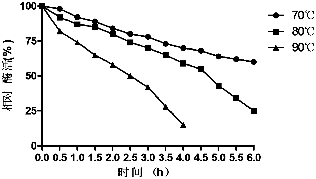 Novel xylanase