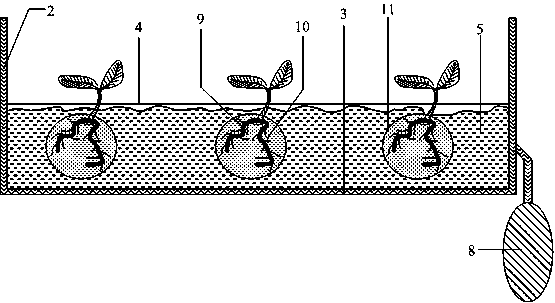 Semi-submersible sea grass cultivation device and method