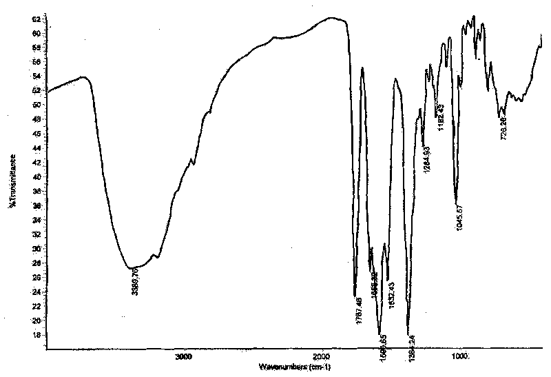 Cefodizime sodium crystal form and preparation method thereof as well as drug compound comprising crystal form
