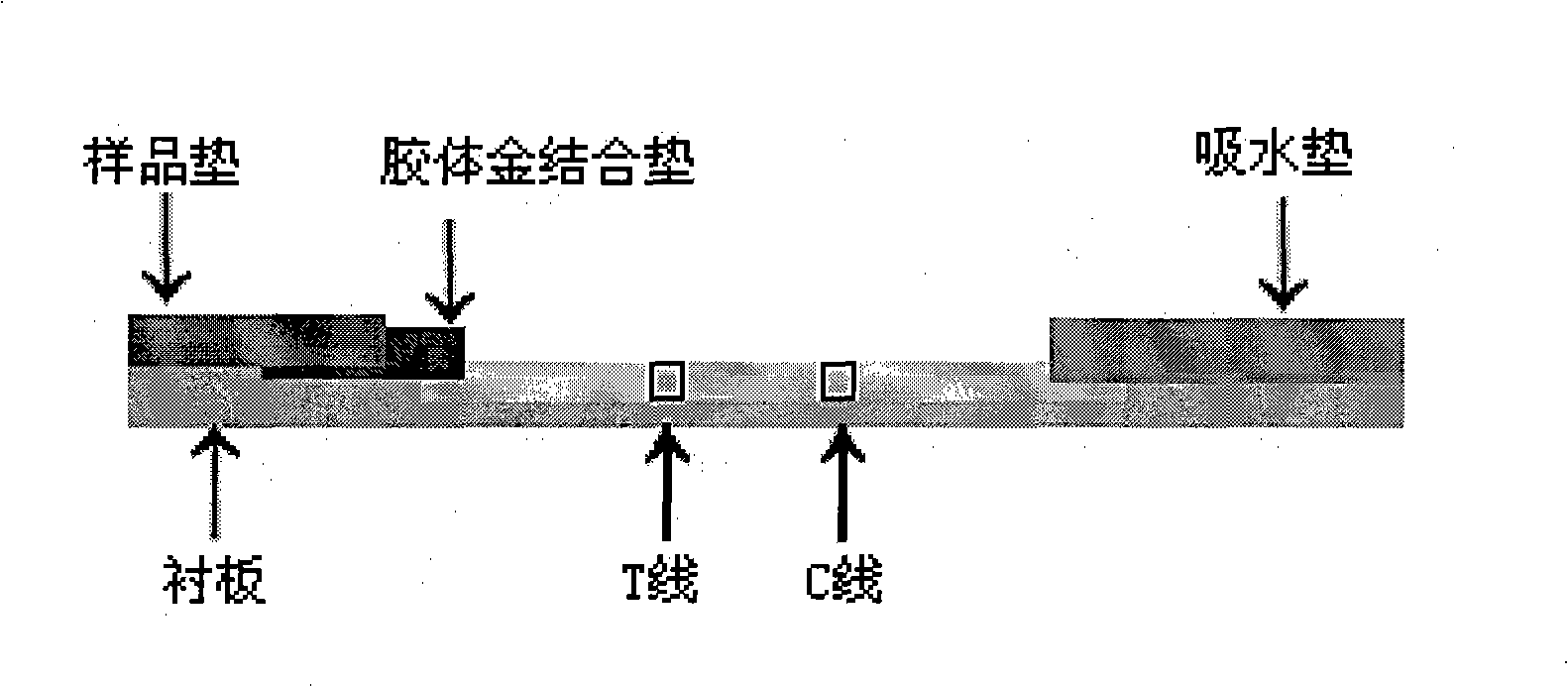 Preparation method of colloidal gold chromatography test paper for fast detecting urolong metabolite