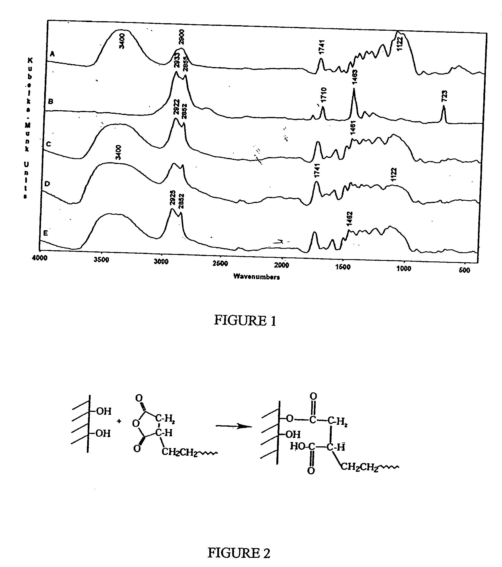 Process for the preparation of maleated polyolefin modified wood particles in composites and products