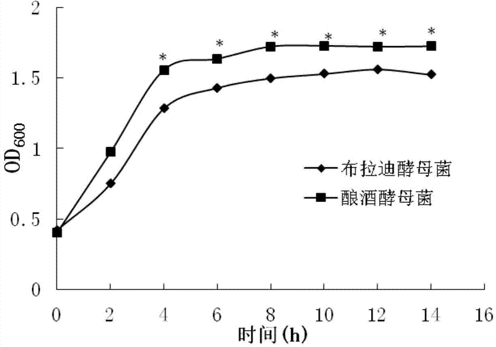 High-temperature and high-humidity resistant saccharomyces boulardii and application thereof