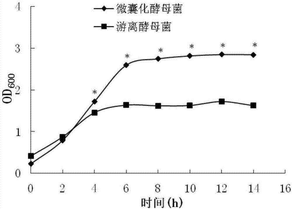 High-temperature and high-humidity resistant saccharomyces boulardii and application thereof