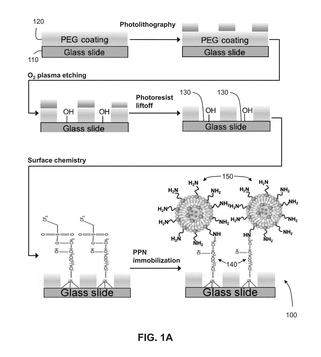 Biofunctionalized nanoshell immobilized microarrays and applications thereof