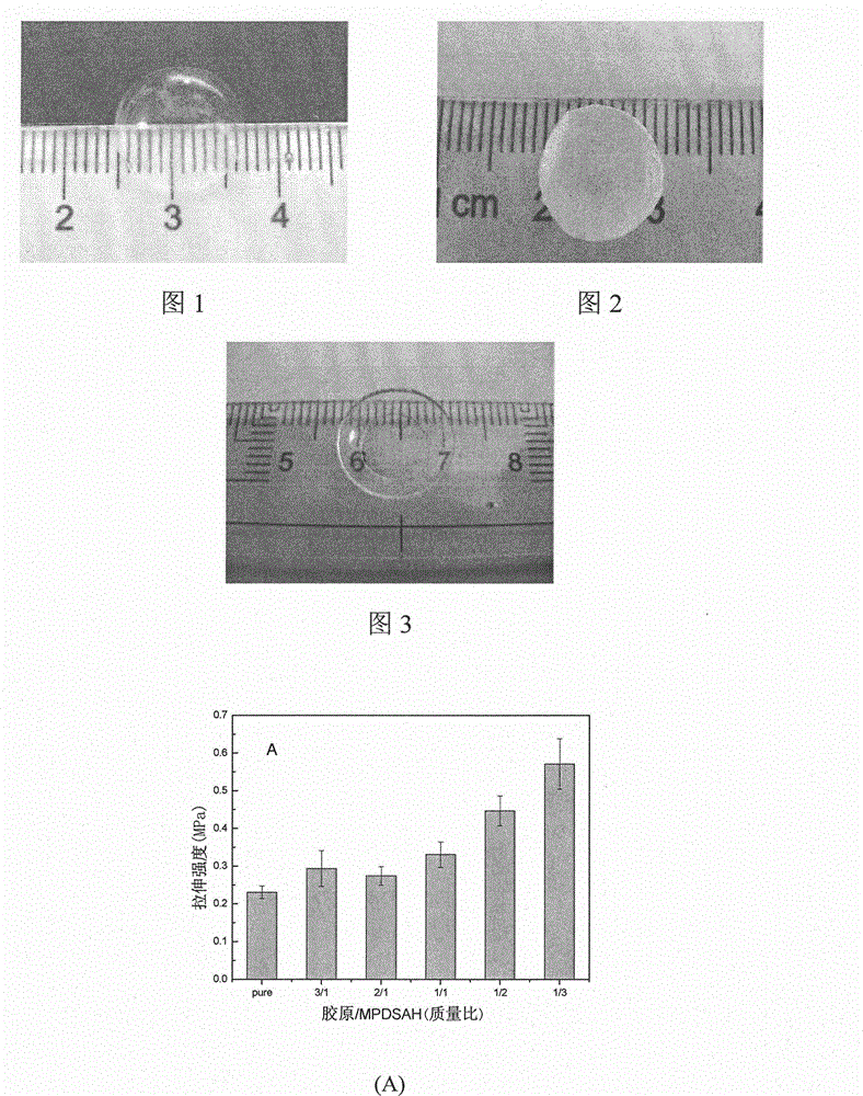 Collagen-based composite cornea substitute with bioactivity and preparation method thereof