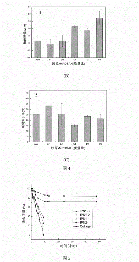 Collagen-based composite cornea substitute with bioactivity and preparation method thereof