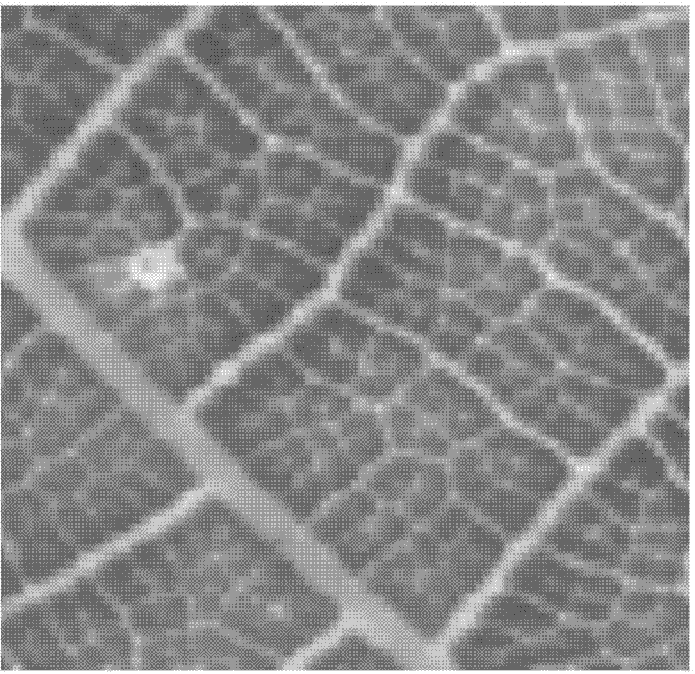 High-resolution image reconstruction method based on directivity gradient