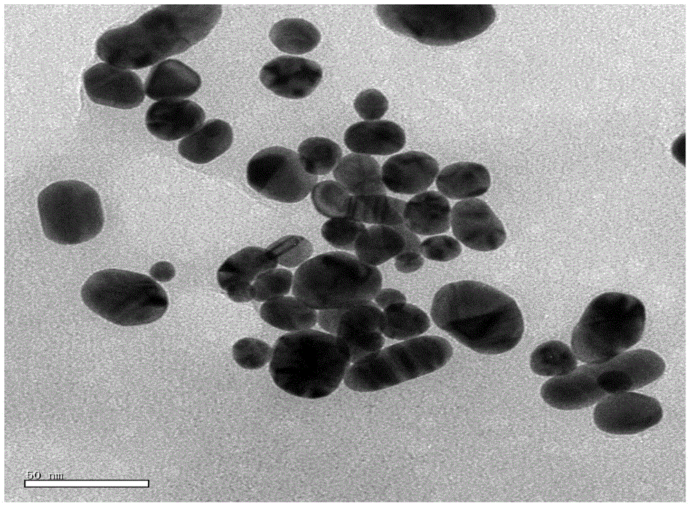 Controllable preparation method for gold nanoparticles induced by polysaccharide derivative