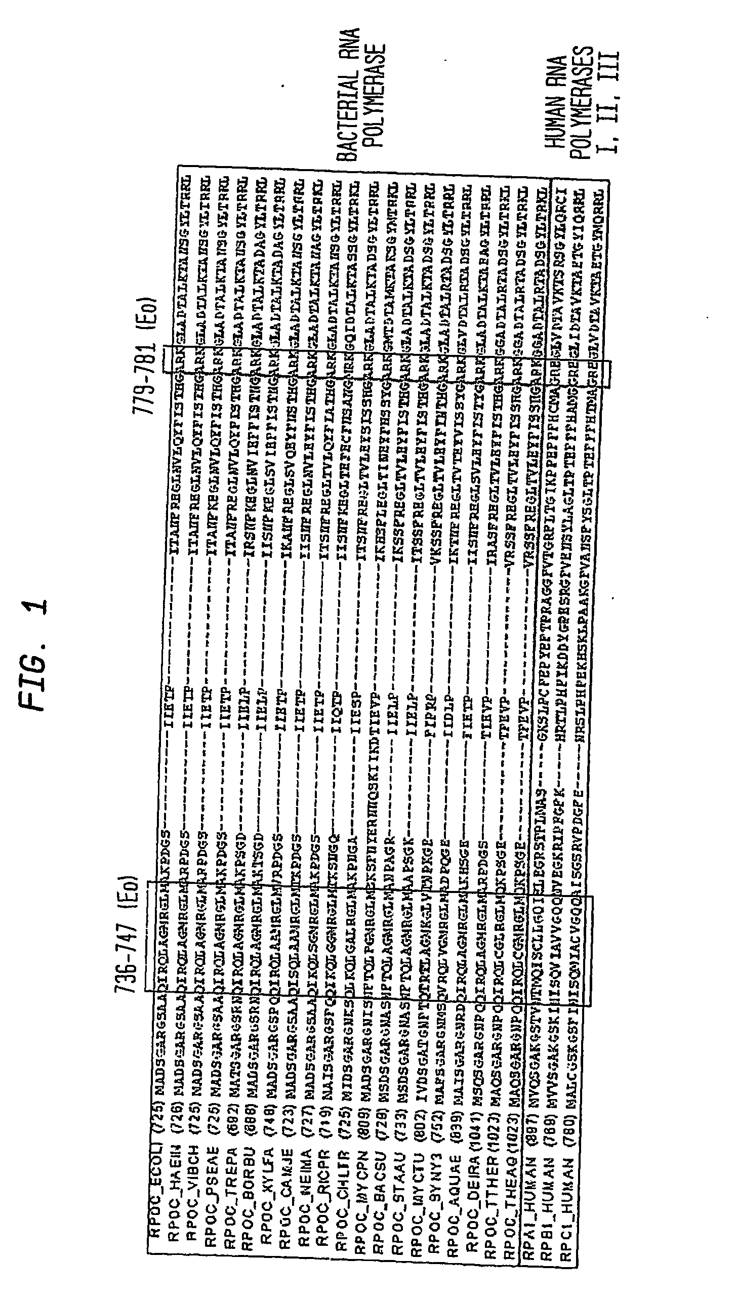 Target and method for inhibition of bacterial rna polymerase