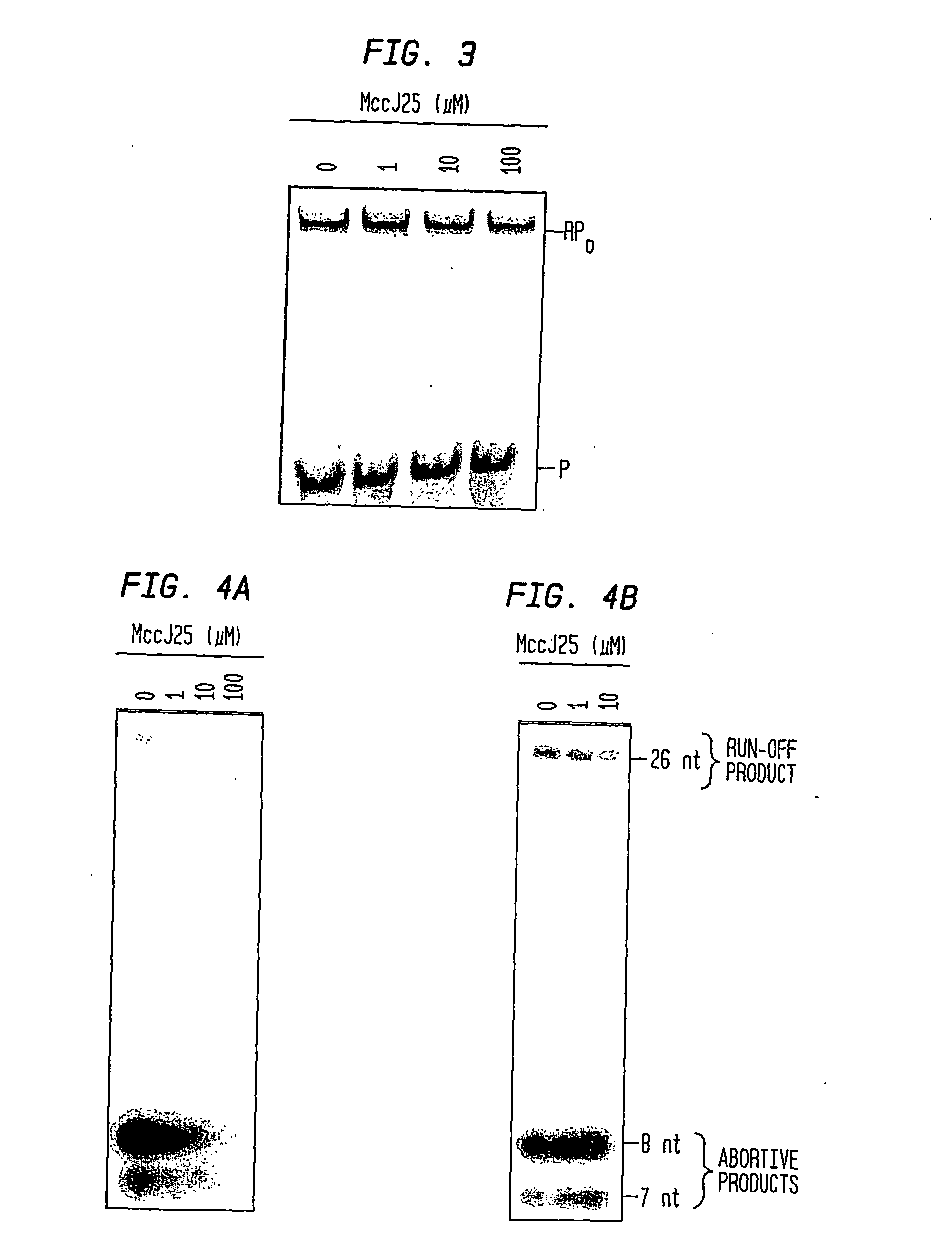 Target and method for inhibition of bacterial rna polymerase