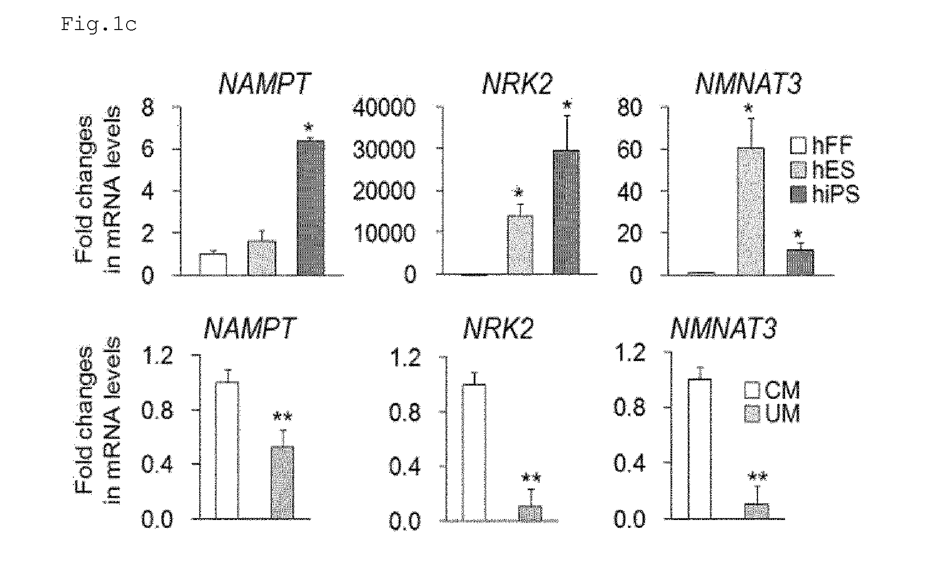 Metabolite for improving production, maintenance and proliferation of pluripotent stem cells, composition comprising the same, and method of culturing pluripotent stem cell using the same