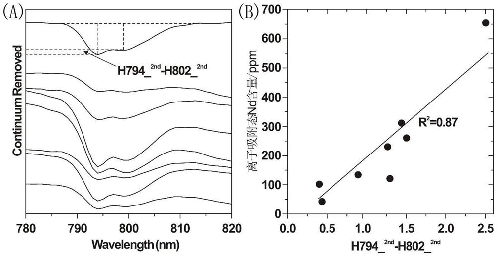 Method for analyzing ion adsorption state rare earth content of weathered crust sample through reflection spectrum