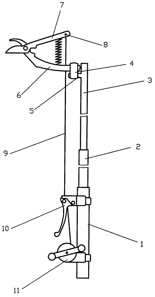Telescopic high-branch fruit picking device