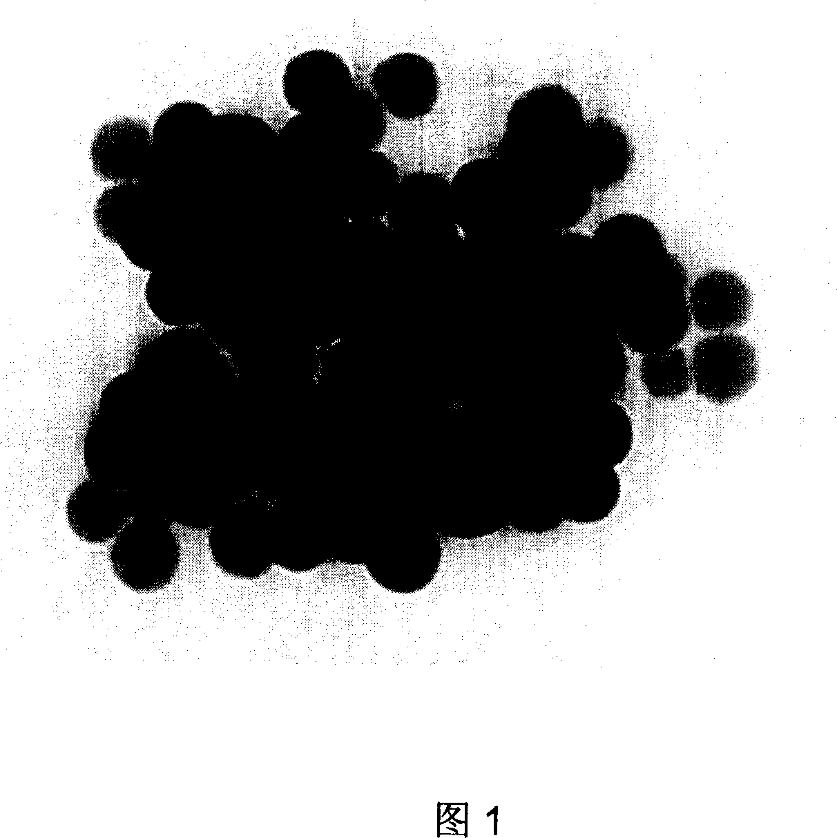 Biological functional fluorescence magnetic particle and its preparing method and application