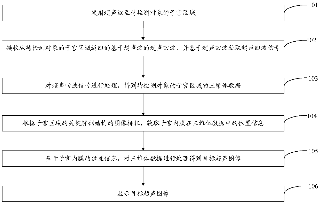 Ultrasonic imaging method and system and ultrasonic image processing method and system