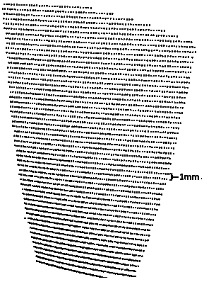 A precise three-dimensional measurement method based on line-structured light-driven holographic interferometry