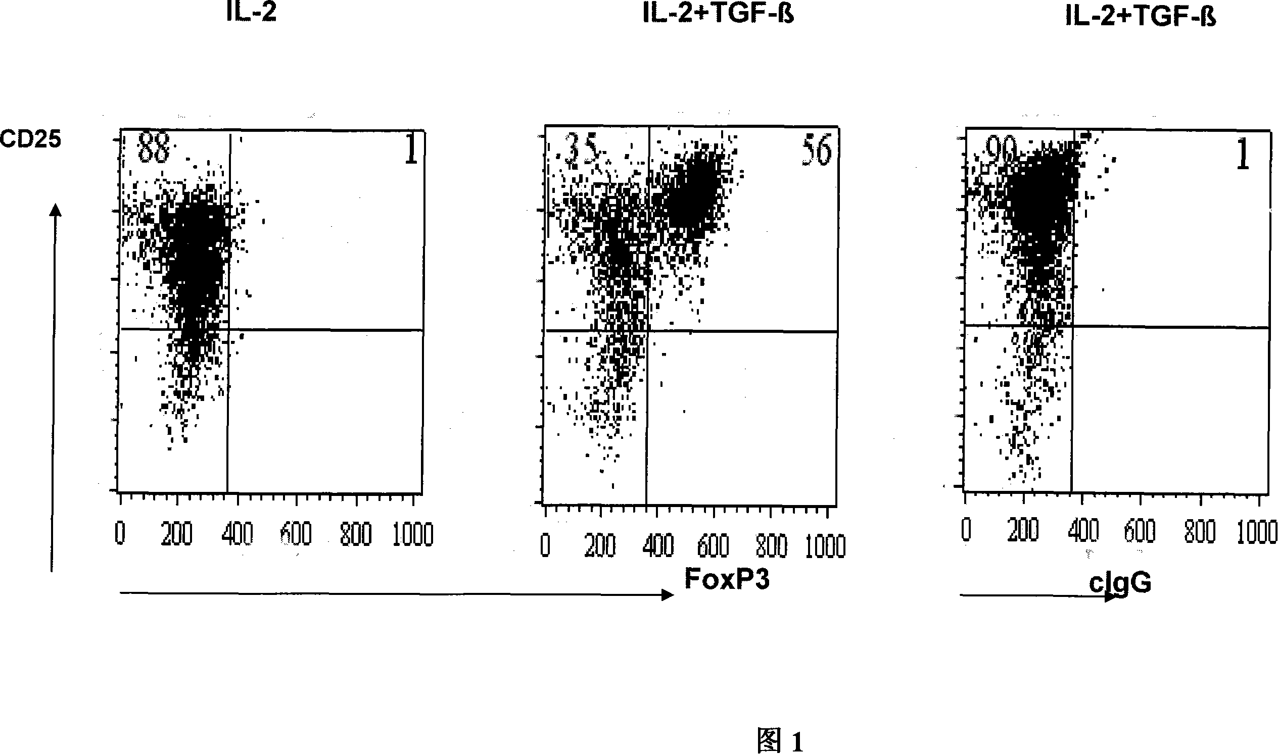 TGF-beta induced adjustment T cell and its forming method and application