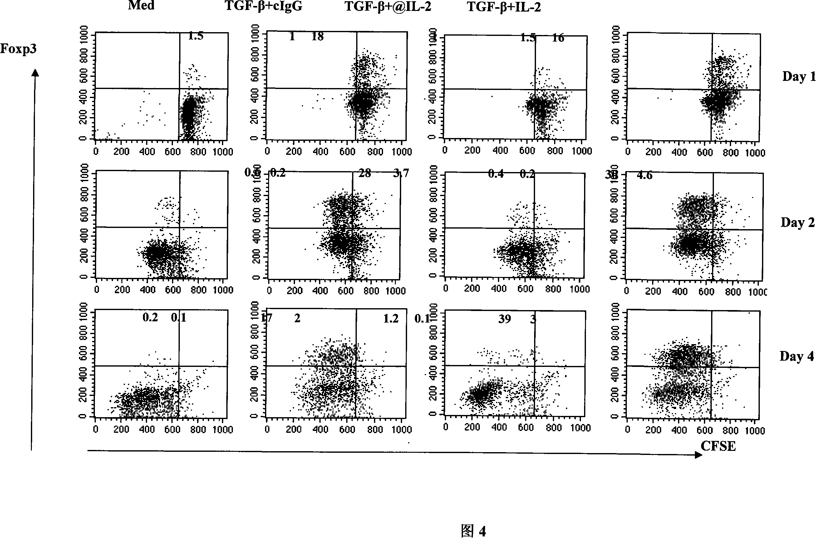 TGF-beta induced adjustment T cell and its forming method and application